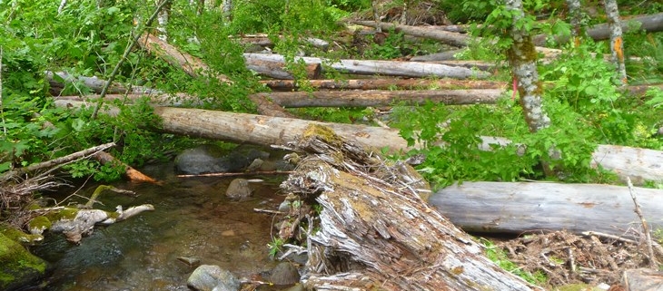 Redhill Creek after log placement.