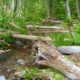 Redhill Creek after log placement.